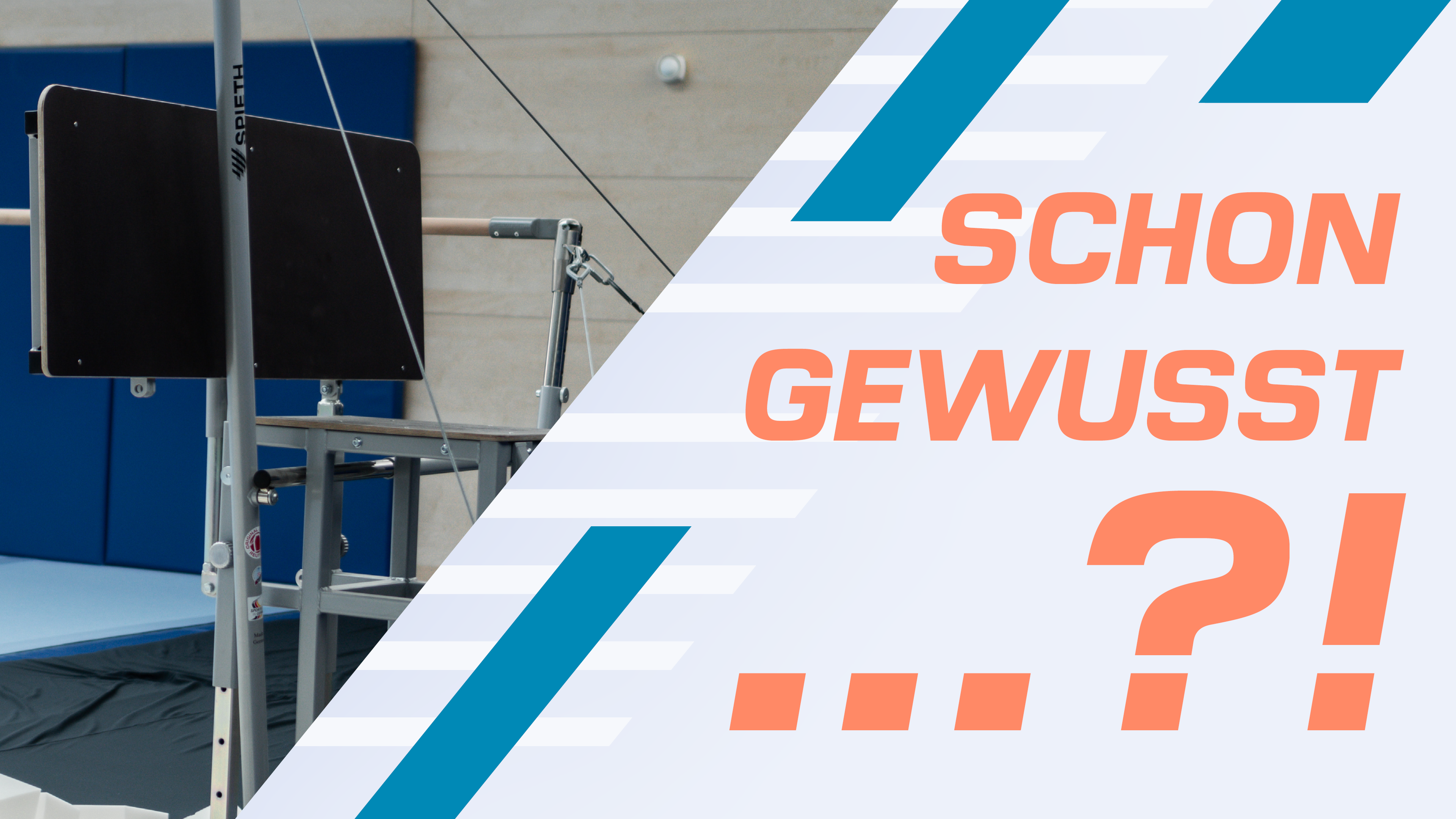 Schon gewusst... Trainerkonsolen