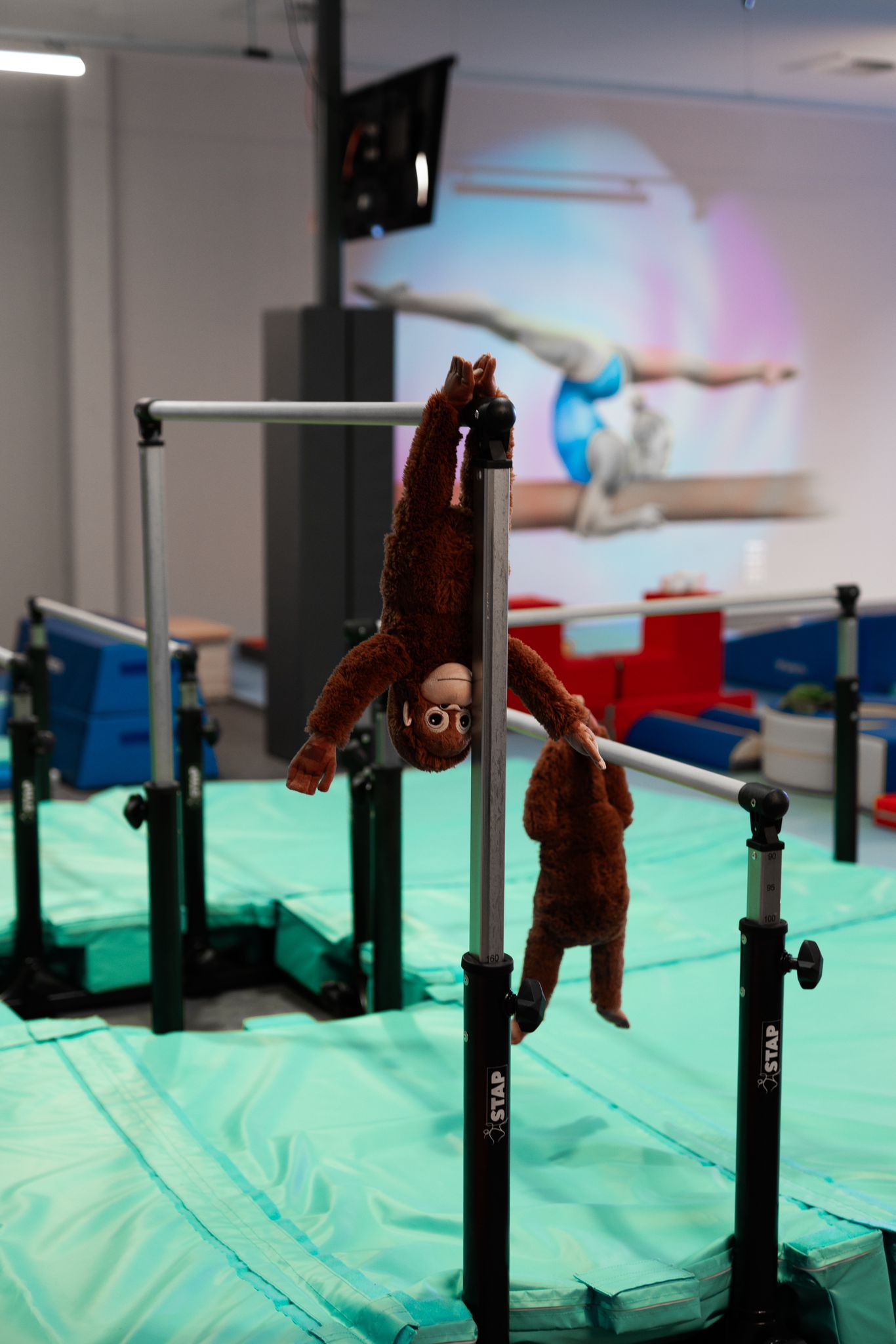 Opening of the Kids-Gymnastics-Arena NJ-Gymnastics in Bottrop